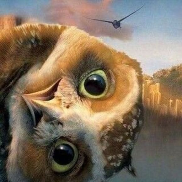 Meet your Posher, Sandra - Picture 1 of 1